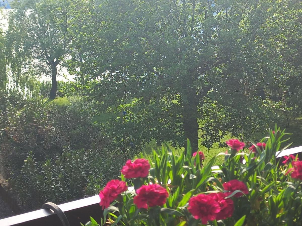 Appartamento Miralago Con Giardino Sul Lago Gavirate Kültér fotó